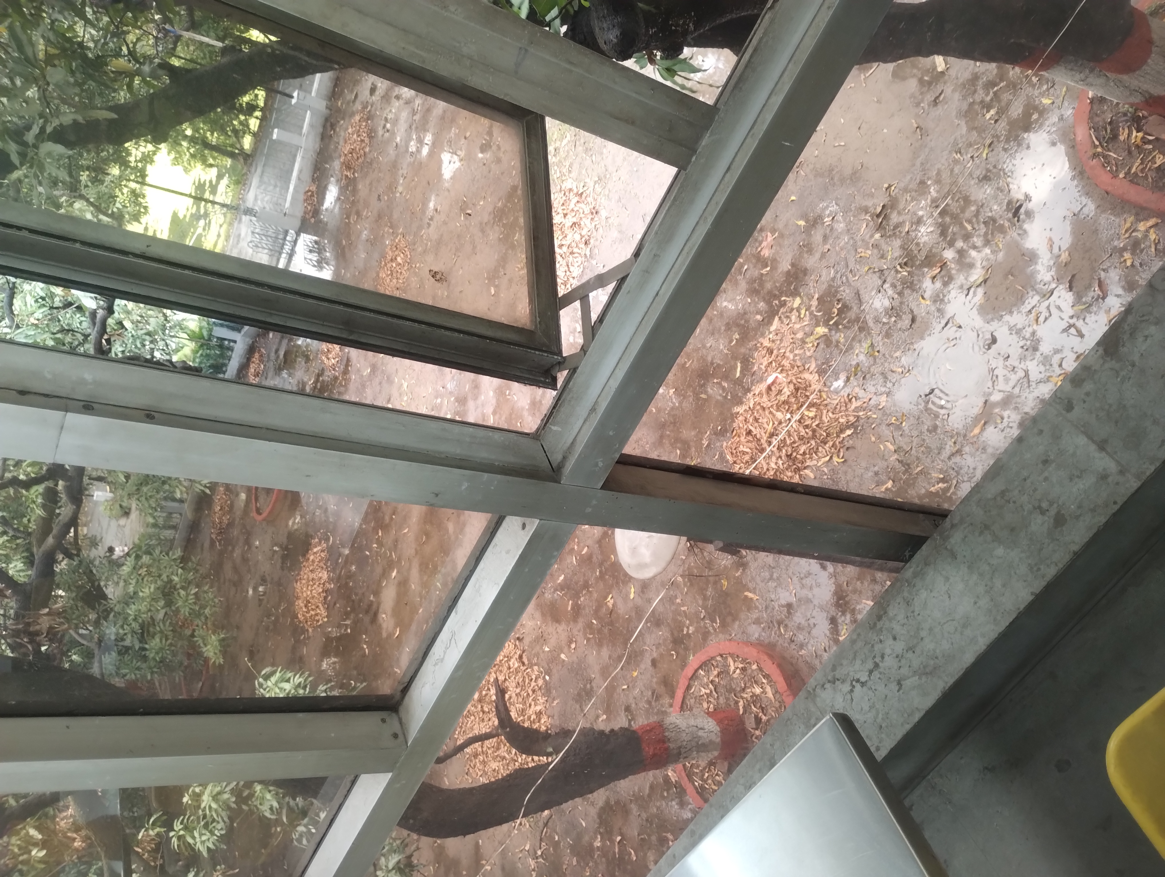 Inside Rani Bhavan